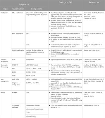 Epigenetic insights into Fragile X Syndrome